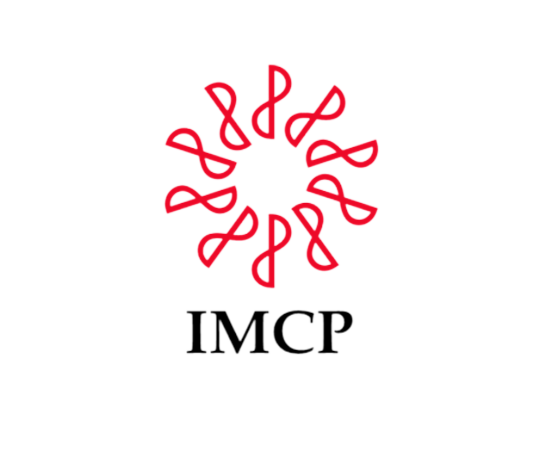 Instituto Mexicano de Contadores Publicos